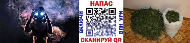Купить закладку Каннабис  COCAIN  Псилоцибиновые грибы  Меф  ГАШИШ  СОЛЬ  Адыгейск