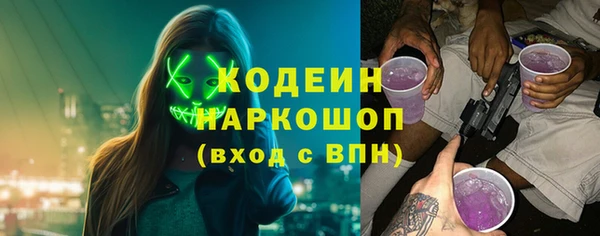 прущие грибы Инсар