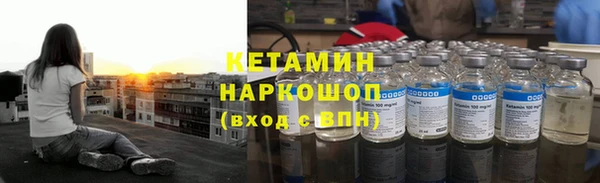 прущие грибы Инсар