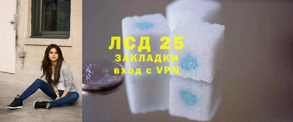 прущие грибы Инсар