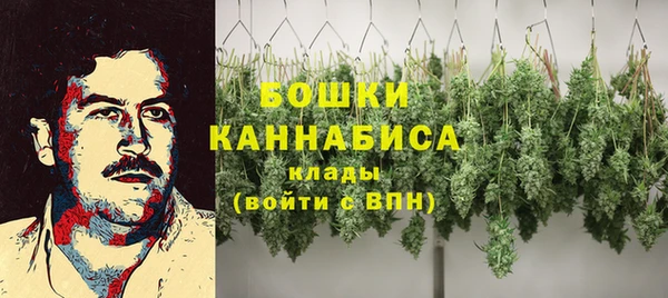 не бодяженный Инта