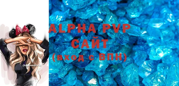 прущие грибы Инсар