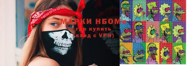прущие грибы Инсар