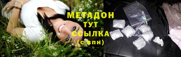 прущие грибы Инсар