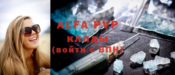прущие грибы Инсар