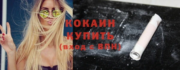 прущие грибы Инсар