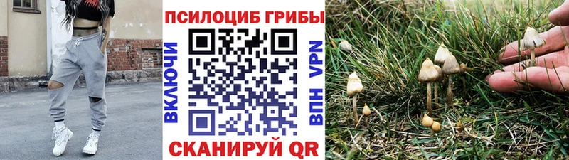 Купить где  Адыгейск  Галлюциногенные грибы MAGIC MUSHROOMS 